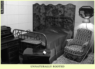 unnaturally rooted